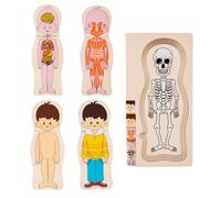 Rompecabezas de Madera con Partes Humanas del Cuerpo, Puzzles con Partes del Cuerpo de Madera Puzzle Puzzle de Anatomía de Madera Juguetes Esqueléticos, Un Puzzle Modelo para El Cuerpo Humano,