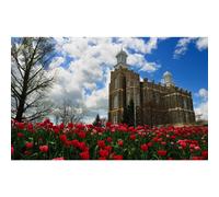 Rompecabezas de madera de 500 piezas del Templo de Logan, Utah: el mejor regalo educativo para ejercicios mentales. Hogar religioso.