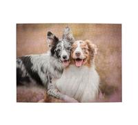 Rompecabezas de Madera de 500 Piezas para Adultos, Dos pastores australianos y Border Collie.