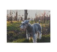 Rompecabezas de Madera de 500 Piezas para Adultos Mayores con Perros Grises y Mascotas de césped de Schnauzer Miniatura.