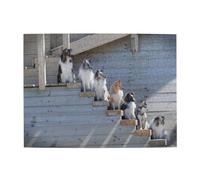 Rompecabezas de Madera de 500 Piezas para Adultos Mayores, Perros, Border Collie, Pastor de Shetland, Perros de Alaska.