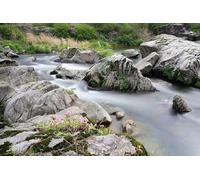 Rompecabezas de Madera de 500 Piezas Stone Stream: Juego de Rompecabezas Relajante para armar y entretener (a Partir de 14 años)