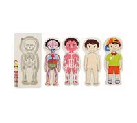 Rompecabezas de madera de cuerpo humano de 5 capas para niños, juguete de aprendizaje de anatomía STE y piel, 36 piezas con órganos esqueleto, músculos,