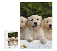 Rompecabezas de madera para adultos, cachorros Golden Retriever impreso para adultos, viene con una hermosa caja