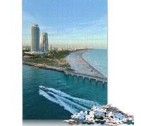 Rompecabezas de Miami para armar, Juego de Bricolaje, Rompecabezas Premium de cartón para Mujeres, Hombres, Día del Niño, 1000 Piezas (38 x 26 cm)