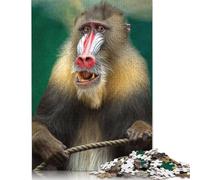 Rompecabezas de Mono Mandril de Vida Silvestre, antiestrés, 100% cartón Reciclado, para Adultos y niños, 1000 Piezas (26 x 38 cm)