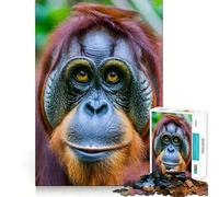Rompecabezas de orangután de 1000 Piezas para Adolescentes Juego Inteligente de Rompecabezas Tiempo de Aprendizaje Imagen para armar Un Regalo Encantador (38x26cm)