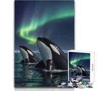Rompecabezas de orcas bajo la Aurora Boreal (1000 Piezas), Divertido Juego de Desarrollo cognitivo, Regalo de celebración Especial y reflexivo, tamaño 38x26cm