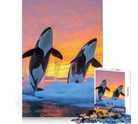 Rompecabezas de orcas Saltando al Atardecer en Aguas heladas para Adultos, 1000 Piezas, para Fortalecer la Memoria, Actividad para el hogar, Bordes limpios, Regalo Festivo (50x75cm)