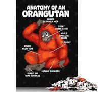 Rompecabezas de Papel de 1000 Piezas, anatomía de orangután, Actividad Familiar, 38 x 26 cm (1000 Piezas)