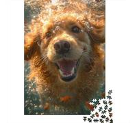 Rompecabezas de Papel de 1000 Piezas, diseño de Golden Retriever, Rectangular y Creativo, Ideal para Adultos (38 x 26 cm).