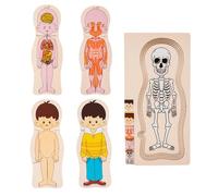 Rompecabezas de Partes del Cuerpo de Madera - Puzzle de Suelo para, Anatomía Humana, Puzzle educativo de anatomía | Puzzle de aprendizaje de anatomía, Juguetes de Esqueleto, modelo de Cuerpo Humano