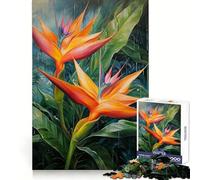 Rompecabezas de Pintura de Aves del paraíso de 1000 Piezas para Adultos Fomenta la concentración, la Capacidad de concentración, la evasión y el Bienestar Un Regalo significativo (38x26cm)