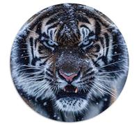 Rompecabezas de Tigre para Adultos, 1000 Piezas, Juego Interactivo Familiar, decoración del hogar, Regalo para el Cerebro 67,5 x 67,5 cm