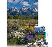 Rompecabezas de un Hermoso río de montaña para Adolescentes, 1000 Piezas, Juguete Educativo Intelectual descompresor, Gran Regalo y Juguetes, 26x38cm