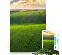 Rompecabezas de Verano de 1000 Piezas para Adultos y Adolescentes Ayuda a Mejorar la Memoria y relaja la Mente Diseño y Montaje 50x75cm