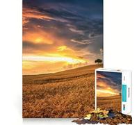 Rompecabezas de Verano para Adultos de 1000 Piezas Rompecabezas Mental Divertido y Relajante Montaje de imágenes Una cálida Sorpresa 38x26cm
