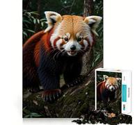 Rompecabezas de Vida Salvaje del Panda Rojo para Adolescentes, 1000 Piezas, Mejora la Memoria, Alivio de la tensión, Borde Ajustado, Pieza de Arte Fino (38x52cm)