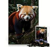 Rompecabezas de Vida Salvaje del Panda Rojo para Adolescentes, 1000 Piezas, Mejora la Memoria, Alivio de la tensión, Borde Ajustado, Pieza de Arte Fino (38x52cm)