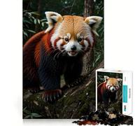 Rompecabezas de Vida Salvaje del Panda Rojo para Adultos, 1000 Piezas, Juguete de lógica Fina, diversión Tranquila, Bordes limpios, Regalo considerado (50x75cm)