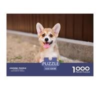 Rompecabezas del Corgi Gales de Pembroke para Adultos, 1000 Piezas - Un Cachorro de Corgi está Sentado en la Grava y saca la Lengua. Rompecabezas Misterioso para Adultos y niños, 52x38 cm