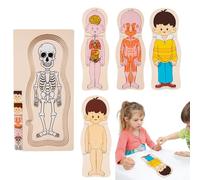 Rompecabezas Del Cuerpo Humano - Rompecabezas De Cuerpo Humano De Madera, Rompecabezas Interactivo De Anatomía | Partes De Cuerpos Educativos Para Niños Y Niñas De 4 A 6 Años, Juguete Orgánico Para El