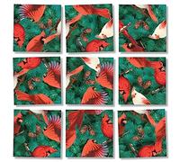 Rompecabezas desafiante de 9 piezas Scramble Squares Cardinals: el mejor juego mental y acertijo para j venes y mayores, atractivo y creativo con B