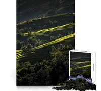 Rompecabezas difícil de terrazas de arroz en Vietnam para Adultos, 1000 Piezas, Juguete Que desafía la Mente, Entretenimiento Suave, Corte preciso, Regalo Memorable (50x75cm)