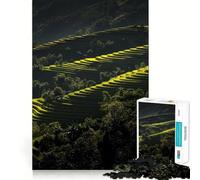 Rompecabezas difícil de terrazas de arroz en Vietnam para Adultos, 1000 Piezas, Juguete Que desafía la Mente, Entretenimiento Suave, Corte preciso, Regalo Memorable (50x75cm)