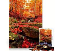 Rompecabezas difícil para Adultos Bosque otoñal con Arroyo, 1000 Piezas, desafío Inteligente, Ocio, Escape, Cierre Fino, Regalo Original (38x26cm)