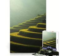 Rompecabezas difícil para Adultos de 1000 Piezas Campos de arroz de Mu Cang Chai, Vietnam Mejora la Memoria, relaja la Mente, Bordes definidos, Regalo Elegante (38x52cm)