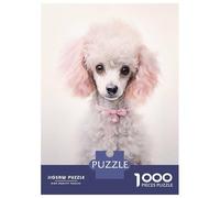 Rompecabezas Difícil para Adultos De 1000 Piezas White Poodle Pink Mood Rompecabezas para Adultos Juguetes De Bricolaje Mejora La Memoria Desafiante De Completar 70x50cm/1000pcs