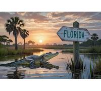 Rompecabezas divertido de 1000 piezas para adultos Florida The Everglades State Map Rompecabezas de madera, los mejores ejercicios cerebrales, regalo educativo, decoración del hogar