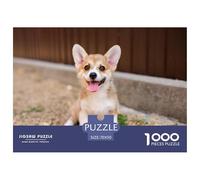 Rompecabezas Educativo del Corgi Gales de Pembroke, 1000 Piezas - Un Cachorro de Corgi está Sentado en la Grava y saca la Lengua. para Adultos y niños, Divertido, como decoración, 70x50 cm