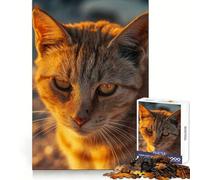 Rompecabezas Elegantes Sunset para Adultos, 1000 Piezas Fortalece la Memoria Diversión Relajante Bordes de Calidad Un Regalo Encantador 38x26cm
