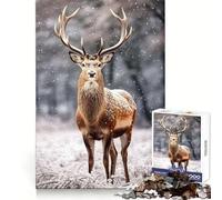 Rompecabezas Encuentro en el Bosque Nevado de 1000 Piezas para Adultos Juego Mental Pasatiempo en casa Bordes limpios Un Regalo Encantador (50x75cm)