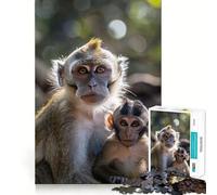 Rompecabezas Familia de Animales 1000 Piezas Juguete de Construcción Focus Ajuste Espacios Una Actividad Recompensadora para Días Lluviosos (50x75cm)