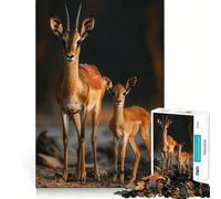 Rompecabezas Familia de Animales 1000 Piezas para Adolescentes Juego para Estimular la Mentalidad Montaje Firme y Seguro Actividad Divertida para la Noche en Familia (38x52cm)