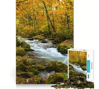 Rompecabezas Flujo del río Oirase en el Bosque otoñal para Adolescentes, 1000 Piezas, Juego Inteligente, Tiempo en Familia, patrón de ensamblaje, selección de Deseos de Papá Noel (38x52cm)