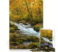 Rompecabezas Flujo del río Oirase en el Bosque otoñal para Adolescentes, 1000 Piezas, Juego Inteligente, Tiempo en Familia, patrón de ensamblaje, selección de Deseos de Papá Noel (38x52cm)