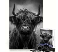Rompecabezas fotográficos de Vaca de Las Tierras Altas en Blanco y Negro para Adultos, 1000 Piezas, para ejercitar la Memoria, para un Momento de relajación, con Bordes limpios, (50x75cm)