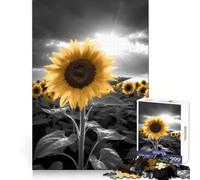 Rompecabezas Girasol Blanco y Negro 1000 Piezas para Adolescentes Recordar Mejorar Relajar Mente Obra de Arte de Corte Claro 50x75cm