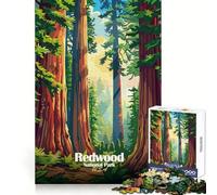 Rompecabezas ilustrado del Parque Nacional Redwood para Adolescentes,1000 Piezas,práctica de lógica,Escape Sereno,Bordes limpios,Bonito Regalo (38x52cm)