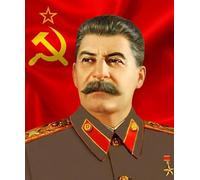 Rompecabezas Irregular De Colores ,Stalin Imágenes ,para Reducción del Estrés Juegos ,Mayores Memoria Cognición Games ,Rompecabezas 1000 Piezas Dw98Sk
