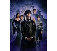 Rompecabezas Irregulars - Horror Classics Film Wednesdays Carteles - para Juguetes Educativos para Adultos - Juguetes De Desafío Personalizados para Adultos Gifts - 1000 Piezas Rompecabezas Zx383Aw