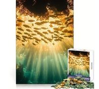 Rompecabezas Luz Solar submarina y Banco de Peces de 1000 Piezas para Adolescentes Ideal para Relajarse y divertirse Diseño Uniforme Navidad (50x75cm)
