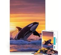 Rompecabezas Orca Saltando al Atardecer en Aguas heladas, 1000 Piezas, Juguete para desarrollar la Mente, Juego Relajante, Pieza de colección de Arte de Corte preciso (50x75cm)