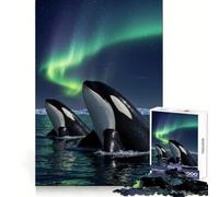 Rompecabezas Orcas bajo la Aurora Boreal para Adolescentes, 1000 Piezas, Juguete de lógica Resistente, Tranquilo, con Bordes definidos, Regalo Elegante (38x26cm)