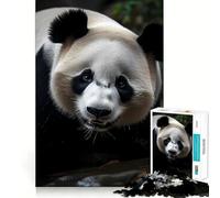 Rompecabezas Panda Nature de 1000 Piezas para Adultos, Juguete para concentrarse y ejercitar la Mente, diversión Tranquila, Bordes Ajustados, artículo de Santa Claus (38x52cm)