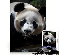 Rompecabezas Panda Nature de 1000 Piezas para Adultos, Juguete para concentrarse y ejercitar la Mente, diversión Tranquila, Bordes Ajustados, artículo de Santa Claus (38x52cm)